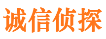 大冶市私家侦探